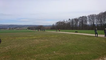 Die Gruppe mit Ihren Hunden beim Feld beim Osterspaziergang mit Fontanas DogWorld